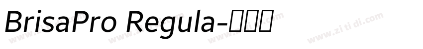 BrisaPro Regula字体转换